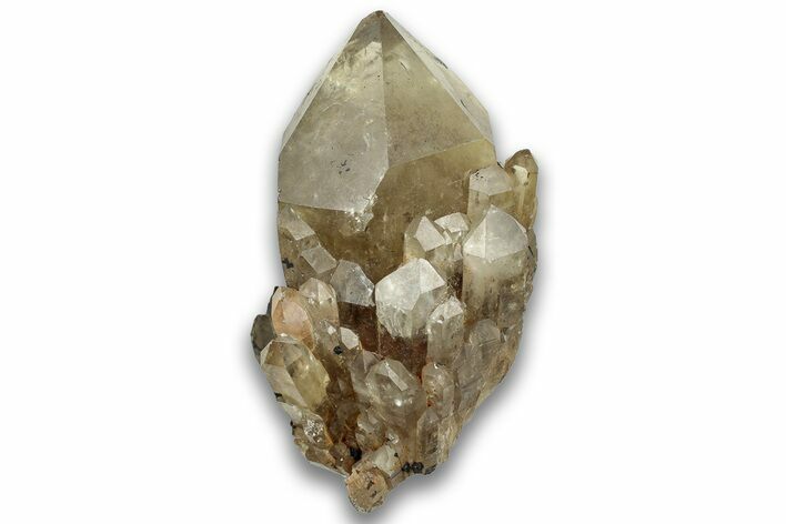 Smoky Citrine Crystal Cluster - Luena, DR Congo #324411